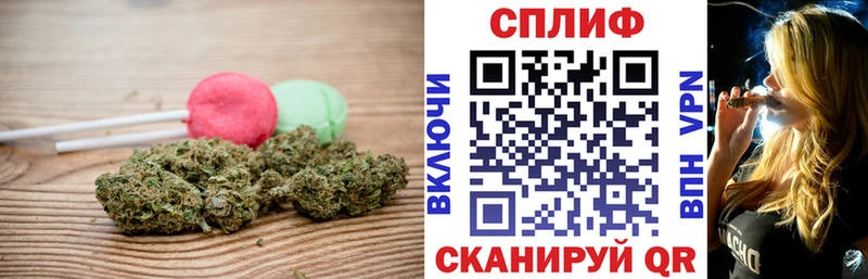 Canna-Cookies марихуана  Нижний Новгород 