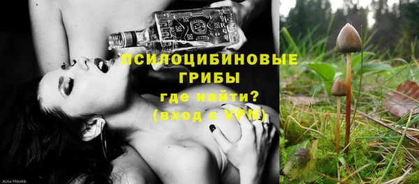 бошки Гусь-Хрустальный