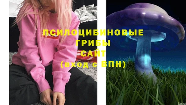 мяу мяу кристалл Горно-Алтайск