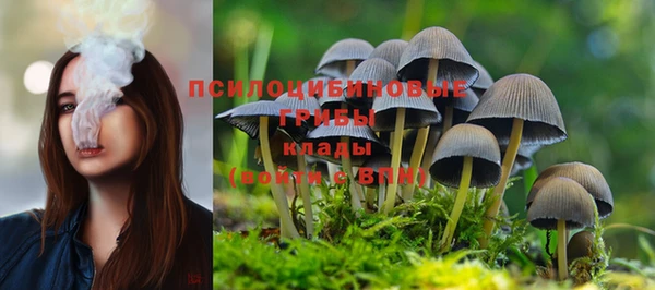 прущая мука Верея