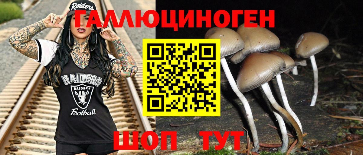 Псилоцибиновые грибы MAGIC MUSHROOMS  Вход с VPN  Нижний Новгород 